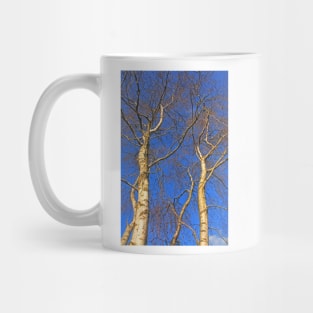 Silver Birch, Turbary Common, March 2021 Mug